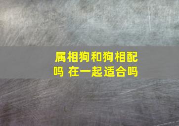 属相狗和狗相配吗 在一起适合吗